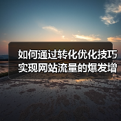 如何通过转化优化技巧实现网站流量的爆发增长(图2) 如何通过转化优化技巧实现网站流量的爆发增长(图2)