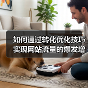如何通过转化优化技巧实现网站流量的爆发增长(图3) 如何通过转化优化技巧实现网站流量的爆发增长(图3)