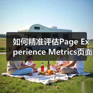 如何精准评估Page Experience Metrics页面体验指标，影响算法的核心奥秘