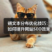 锚文本分布优化技巧：如何提升网站SEO效果？（图2）