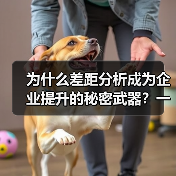 为什么差距分析成为企业提升的秘密武器？一篇让你破解