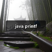 java printf