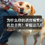 为什么你的语音搜索排名总卡壳？掌握这几招，绩效一飞冲天！