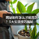 网站制作怎么才能高效？5大实战技巧揭秘（图4）