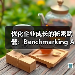 优化企业成长的秘密武器：Benchmarking Analysis 基准分析揭秘
