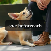 vue beforeeach