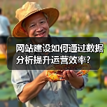 网站建设如何通过数据分析提升运营效率?(图3) 网站建设如何通过数据分析提升运营效率?(图3)