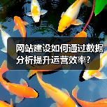 网站建设如何通过数据分析提升运营效率？