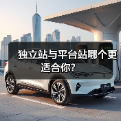 独立站与平台站哪个更适合你?(图2) 独立站与平台站哪个更适合你?(图2)