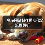 高端网站制作标准化全流程解析(图4) 高端网站制作标准化全流程解析(图4)