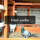 html audio