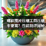 哪款图片压缩工具压缩率更高?性能测评揭秘(图2) 哪款图片压缩工具压缩率更高?性能测评揭秘(图2)