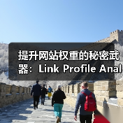 提升网站权重的秘密武器:Link Profile Analysis 链接档案分析 全面指南(图3) 提升网站权重的秘密武器:Link Profile Analysis 链接档案分析 全面指南(图3)
