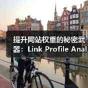 提升网站权重的秘密武器:Link Profile Analysis 链接档案分析 全面指南(图2) 提升网站权重的秘密武器:Link Profile Analysis 链接档案分析 全面指南(图2)