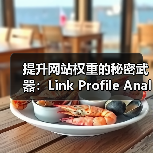 提升网站权重的秘密武器:Link Profile Analysis 链接档案分析 全面指南(图4) 提升网站权重的秘密武器:Link Profile Analysis 链接档案分析 全面指南(图4)