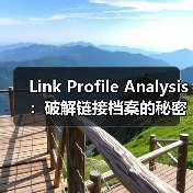 Link Profile Analysis:破解链接档案的秘密武器(图3) Link Profile Analysis:破解链接档案的秘密武器(图3)