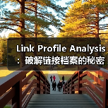 Link Profile Analysis:破解链接档案的秘密武器(图4) Link Profile Analysis:破解链接档案的秘密武器(图4)