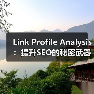 Link Profile Analysis：提升SEO的秘密武器