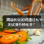 网站优化如何通过A/B测试提升转化率?(图4) 网站优化如何通过A/B测试提升转化率?(图4)