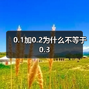 0.1加0.2为什么不等于0.3