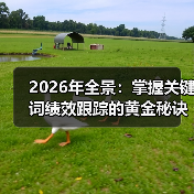 2026年全景：掌握关键词绩效跟踪的黄金秘诀（图2）