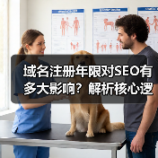域名注册年限对SEO有多大影响？解析核心逻辑（图3）