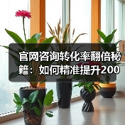 官网咨询转化率翻倍秘籍:如何精准提升200%?(图1) 官网咨询转化率翻倍秘籍:如何精准提升200%?(图1)