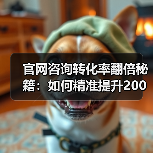 官网咨询转化率翻倍秘籍:如何精准提升200%?(图4) 官网咨询转化率翻倍秘籍:如何精准提升200%?(图4)