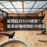 如何提升SEO绩效?全面掌握指标跟踪与报告生成的终极指南(图1) 如何提升SEO绩效?全面掌握指标跟踪与报告生成的终极指南(图1)