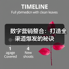 数字营销整合:打造全渠道爆发的秘诀(图4) 数字营销整合:打造全渠道爆发的秘诀(图4)