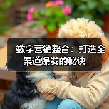 数字营销整合：打造全渠道爆发的秘诀