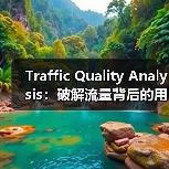 Traffic Quality Analysis:破解流量背后的用户行为与转化潜力(图2) Traffic Quality Analysis:破解流量背后的用户行为与转化潜力(图2)