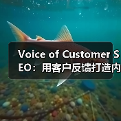 Voice of Customer SEO:用客户反馈打造内容灵感与流量奇迹(图4) Voice of Customer SEO:用客户反馈打造内容灵感与流量奇迹(图4)