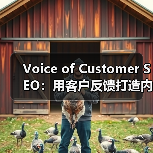 Voice of Customer SEO：用客户反馈打造内容灵感与流量奇迹