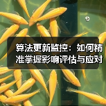 算法更新监控：如何精准掌握影响评估与应对策略（图3）