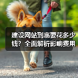 建设网站到底要花多少钱？全面解析影响费用的关键因素