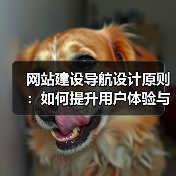 网站建设导航设计原则:如何提升用户体验与转化率?(图2) 网站建设导航设计原则:如何提升用户体验与转化率?(图2)