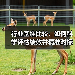 行业基准比较:如何科学评估绩效并精准对标提升?(图2) 行业基准比较:如何科学评估绩效并精准对标提升?(图2)