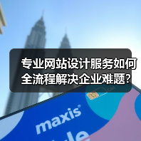 专业网站设计服务如何全流程解决企业难题?(图4) 专业网站设计服务如何全流程解决企业难题?(图4)