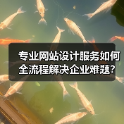 专业网站设计服务如何全流程解决企业难题?(图3) 专业网站设计服务如何全流程解决企业难题?(图3)