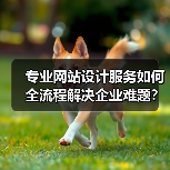 专业网站设计服务如何全流程解决企业难题?(图1) 专业网站设计服务如何全流程解决企业难题?(图1)