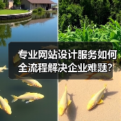 专业网站设计服务如何全流程解决企业难题?(图2) 专业网站设计服务如何全流程解决企业难题?(图2)
