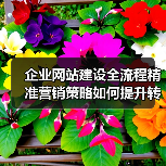 企业网站建设全流程精准营销策略如何提升转化率?(图4) 企业网站建设全流程精准营销策略如何提升转化率?(图4)