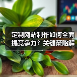 定制网站制作如何全面提竞争力？关键策略解析