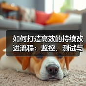 如何打造高效的持续改进流程：监控、测试与优化全解析