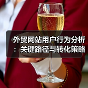 外贸网站用户行为分析：关键路径与转化策略（图4）