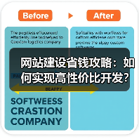 网站建设省钱攻略：如何实现高性价比开发？（图2）
