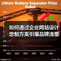 如何通过企业网站设计定制方案引爆品牌流量？（图2）