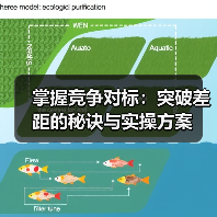 掌握竞争对标：突破差距的秘诀与实操方案