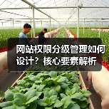 网站权限分级管理如何设计？核心要素解析